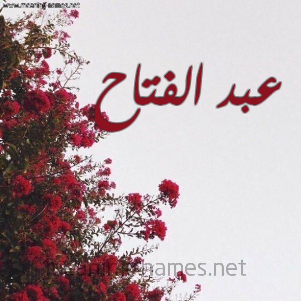 شكل 18 صوره الورد الأحمر للإسم بخط رقعة صورة اسم عبد الفتاح Abd-Elfatah